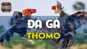 Da Ga Thomo