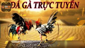 Da ga truc tiep C3 – Dinh cao giai tri hap dan tung phut cung SV88