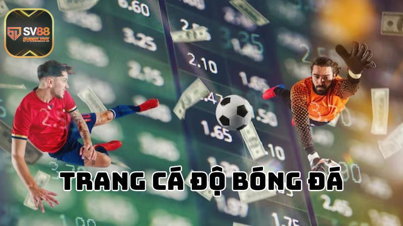 Lợi Ích Khi Đăng Ký Thành Viên Tại Nhà Cái Cá Cược