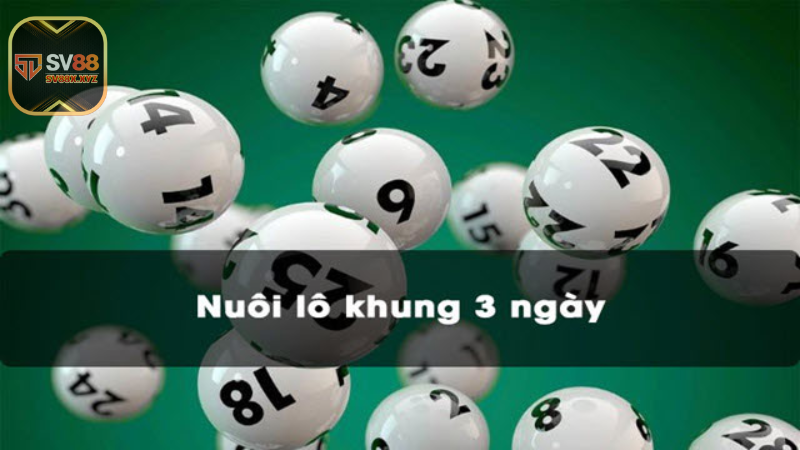 Nuoi Lo Khung 3 Ngay